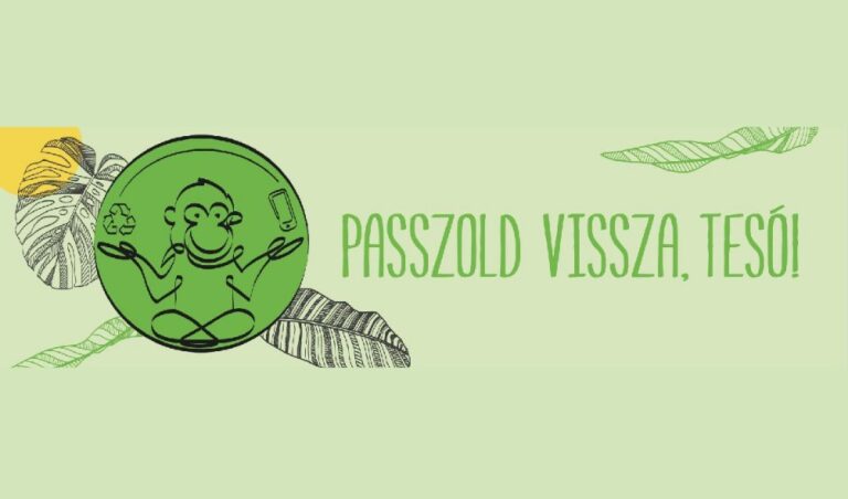 Passzold vissza, tesó! – kampány, játék