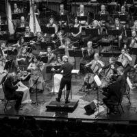 A halhatatlan kedves